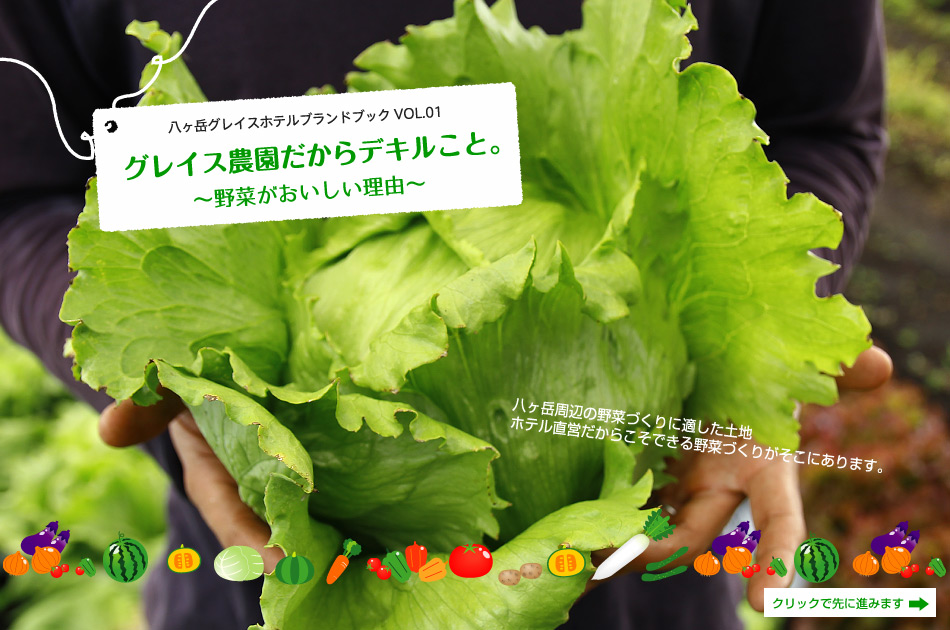 【グレイス農園だからデキルこと。〜野菜がおいしい理由〜】八ヶ岳周辺の野菜づくりに適した土地ホテル直営だからこそできる野菜づくりがそこにあります。八ヶ岳グレイスホテルブランドブック VOL.01　クリックで先に進みます