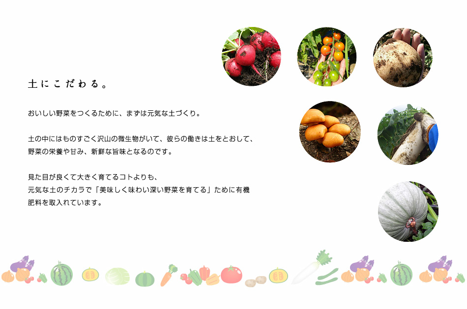 【土にこだわる。】おいしい野菜をつくるために、まずは元気な土づくり。土の中にはものすごく沢山の微生物がいて、彼らの働きは土をとおして、野菜の栄養や甘み、新鮮な旨味となるのです。見た目が良くて大きく育てるコトよりも、元気な土のチカラで「美味しく味わい深い野菜を育てる」ために有機肥料を取入れています。