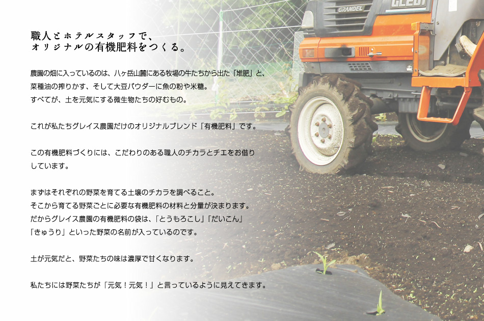 【職人とホテルスタッフで、オリジナルの有機肥料をつくる。】農園の畑に入っているのは、八ヶ岳山麓にある牧場の牛たちから出た「堆肥」と、菜種油の搾りかす、そして大豆パウダーに魚の粉や米糖。すべてが、土を元気にする微生物たちの好むもの。これが私たちグレイス農園だけのオリジナルブレンド「有機肥料」です。この有機肥料づくりには、こだわりのある職人のチカラとチエをお借りしています。まずはそれぞれの野菜を育てる土壌のチカラを調べること。そこから育てる野菜ごとに必要な有機肥料の材料と分量が決まります。だからグレイス農園の有機肥料の袋は、「とうもろこし」「だいこん」「きゅうり」といった野菜の名前の入っているのです。土が元気だと、野菜たちの味は濃厚で甘くなります。私たちには野菜たちが「元気！元気！」と言っているように見えてきます。