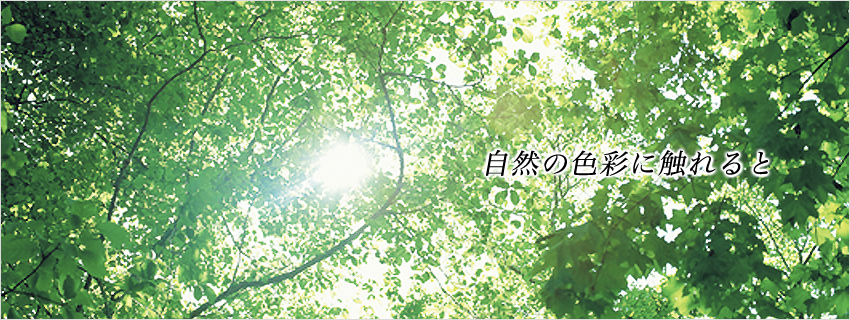 自然の色彩に触れると